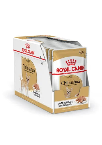 Chihuahua Adult Mousse 12x85G