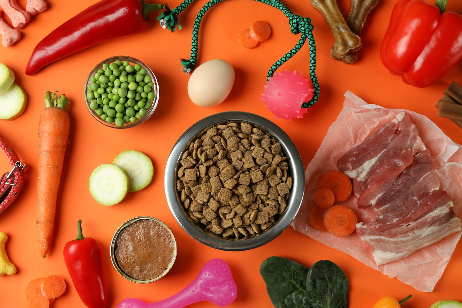 alimentation pour chien croquettes et legumes