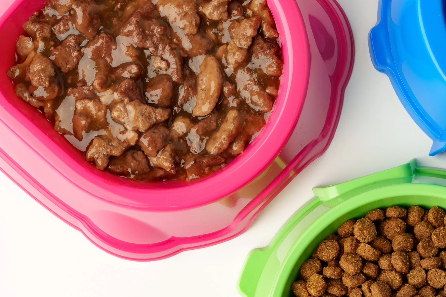 patée pour chien dans gamelle rose