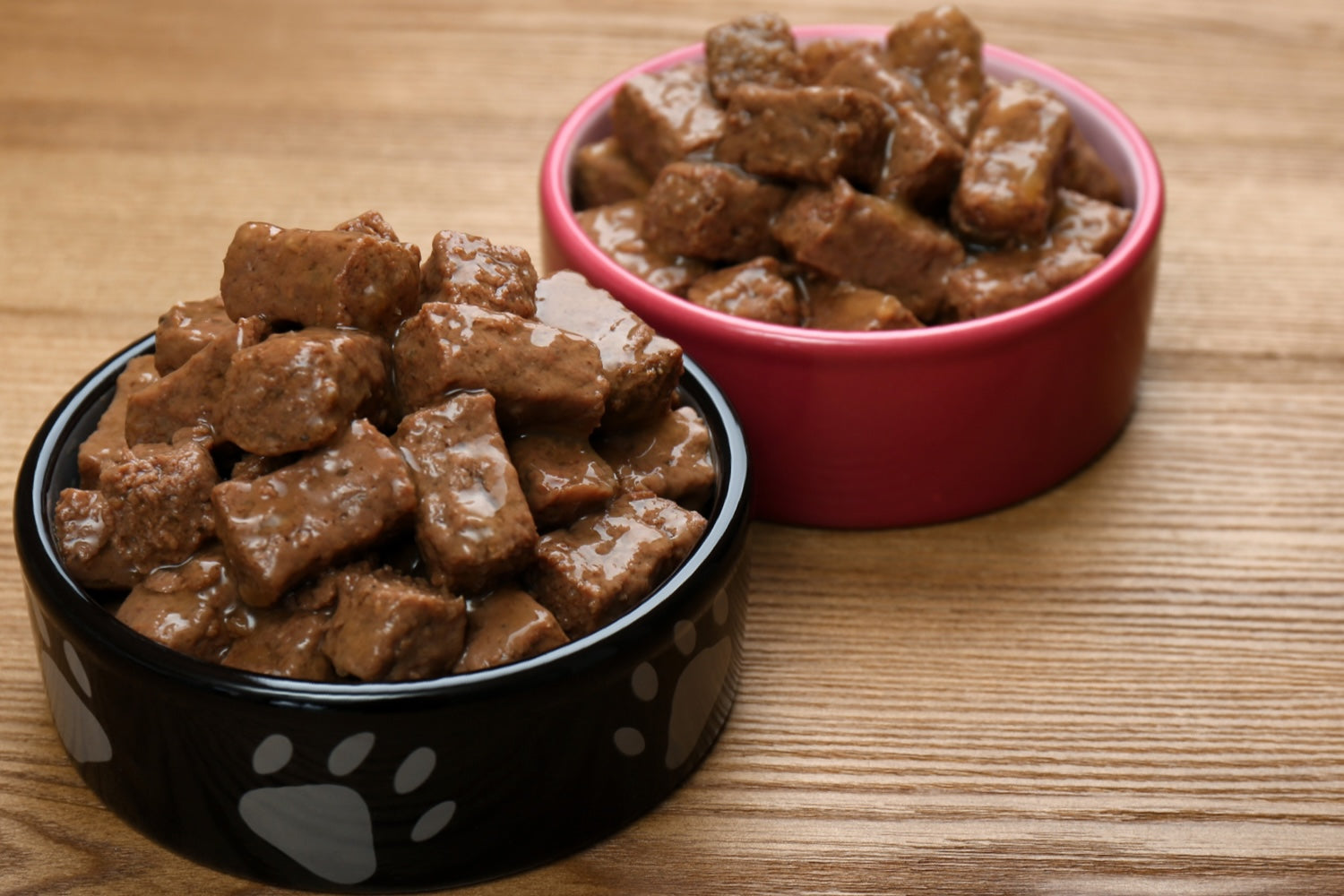 Boîtes pour chien : offrir une alimentation saine et savoureuse à votre compagnon