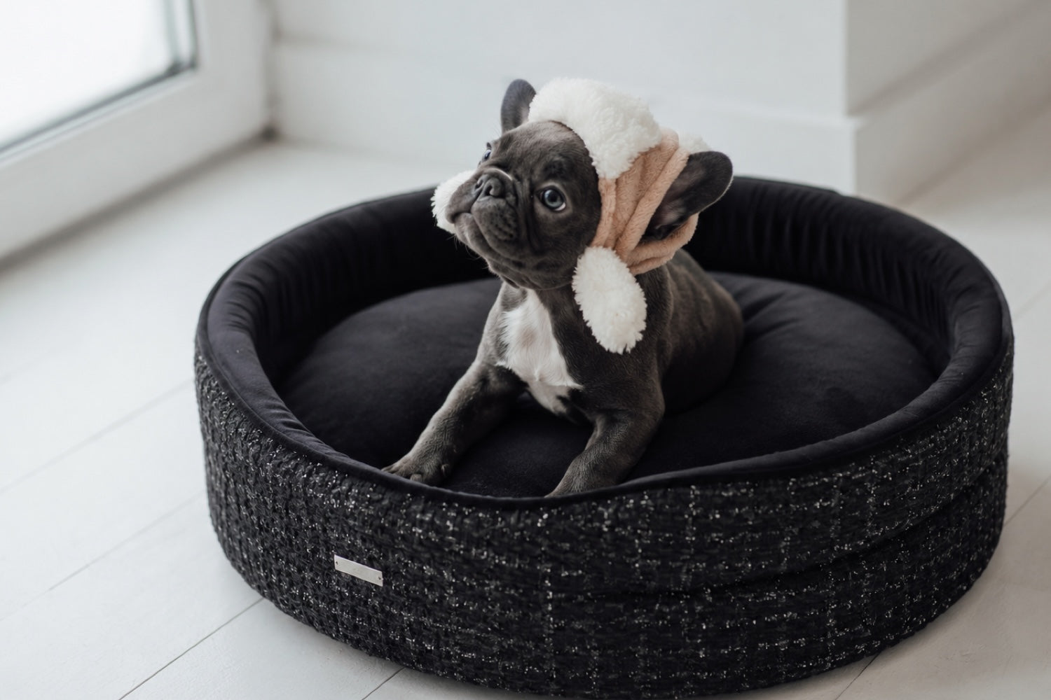 Corbeilles pour chien : offrir le couchage idéal à votre compagnon