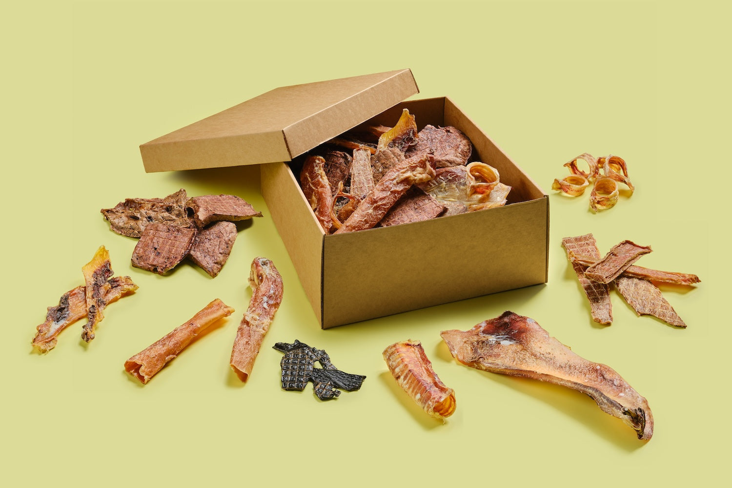 boite de friandises pour chien sur fond vert