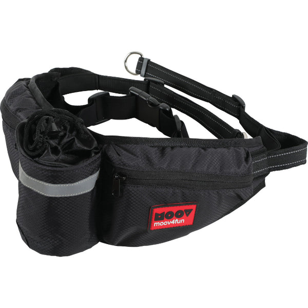 Ceinture De Jogging Moov Zolux