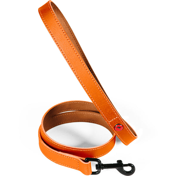 Laisse Cuir Classique Fauve Zolux