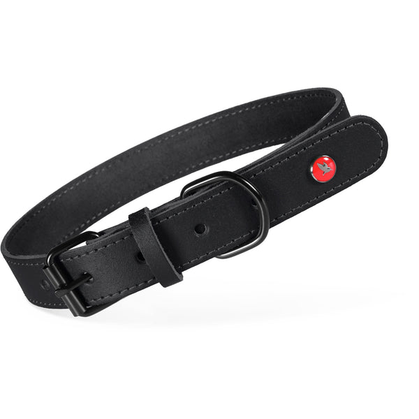 Collier Cuir Classique Noir pour Chien Zolux