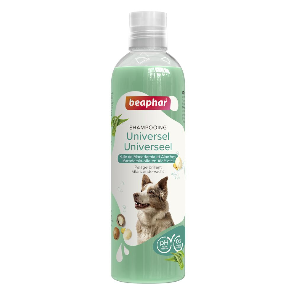 Shampooing Essentiel Universel