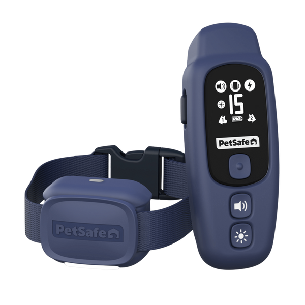Système d'aide à l'éducation 300m Core PetSafe