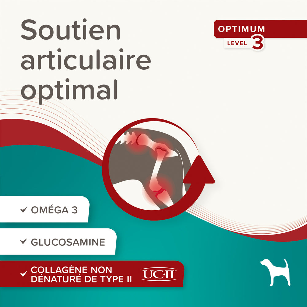 Frinadie articulation optimum niveau 3