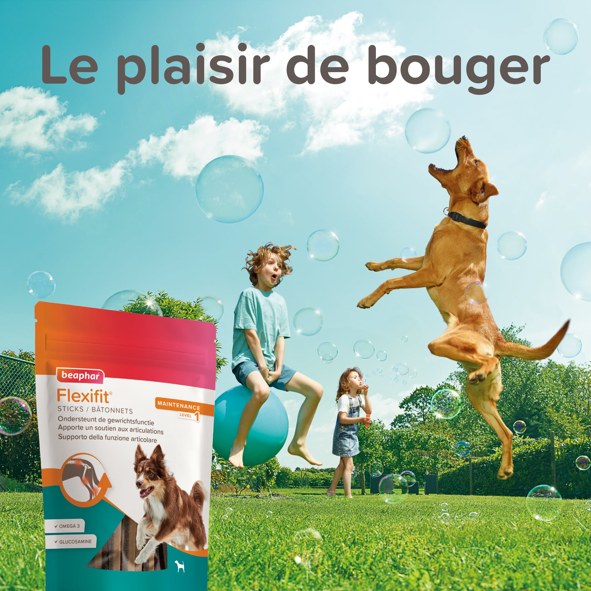 le plaisir de bouger