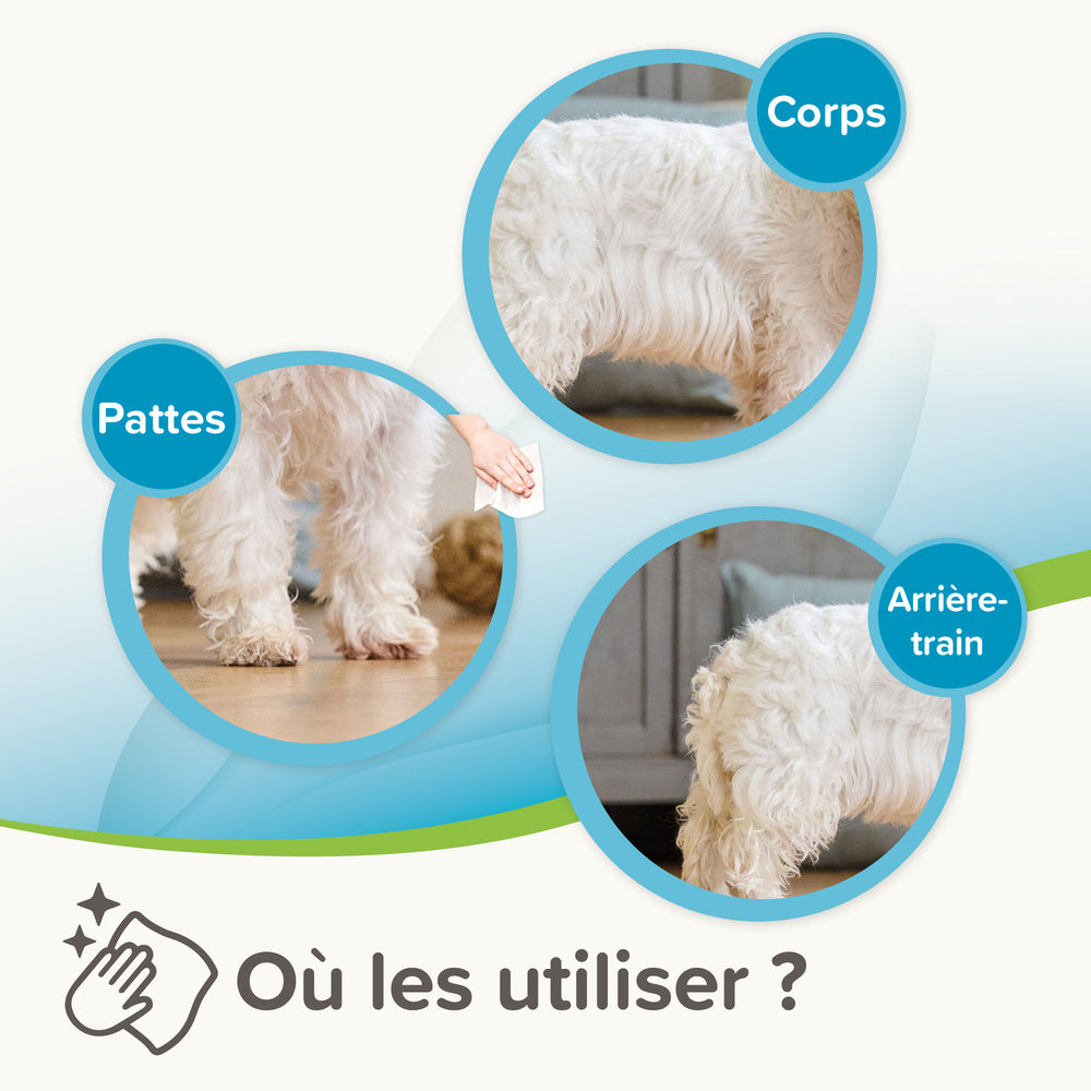 utilisation lingettes universelles