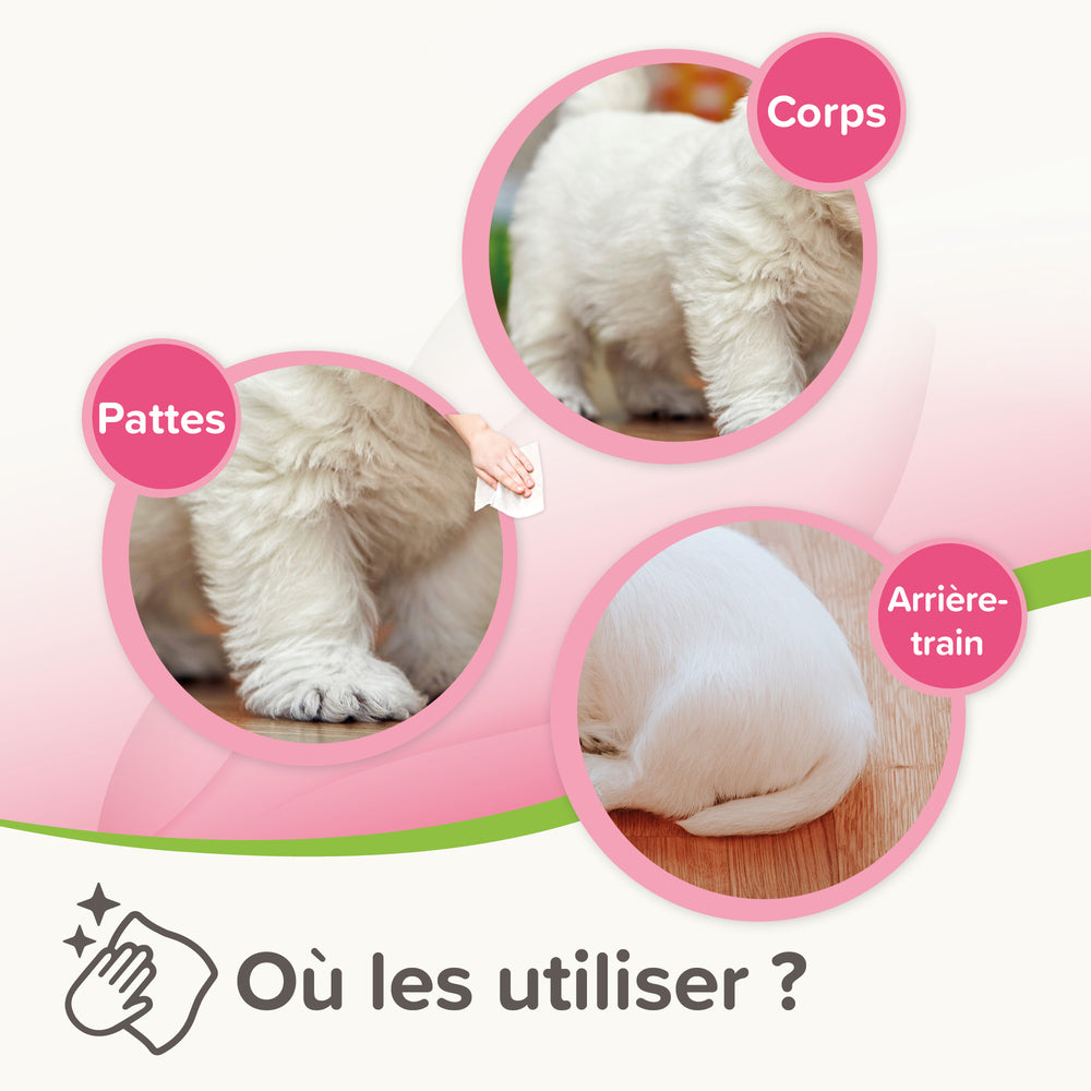 Utilisation lingettes