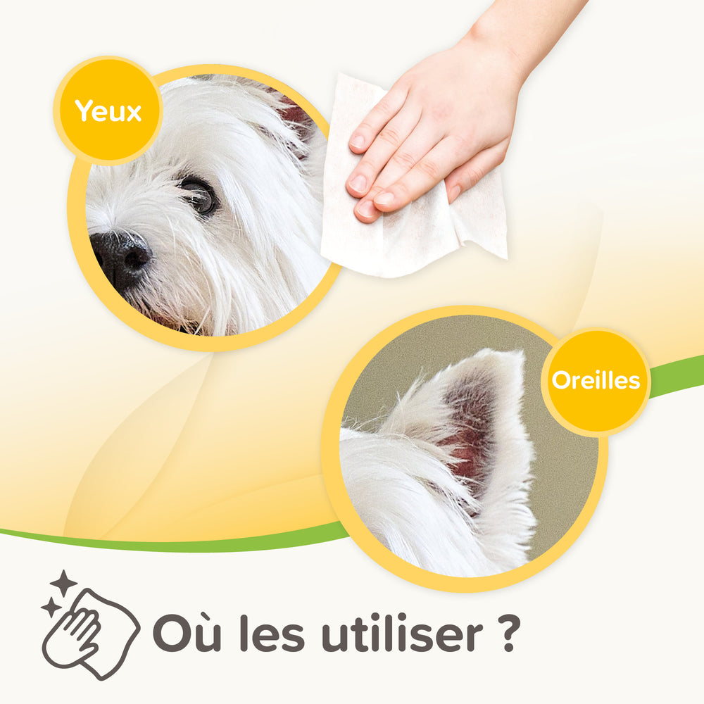 utilisation lingettes yeux oreilles