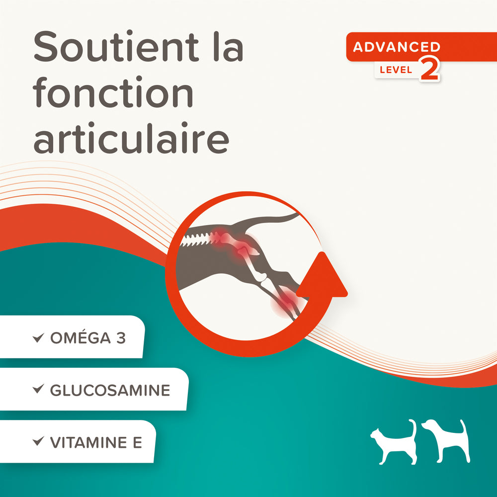 Friandises articulations advanced niveau 2