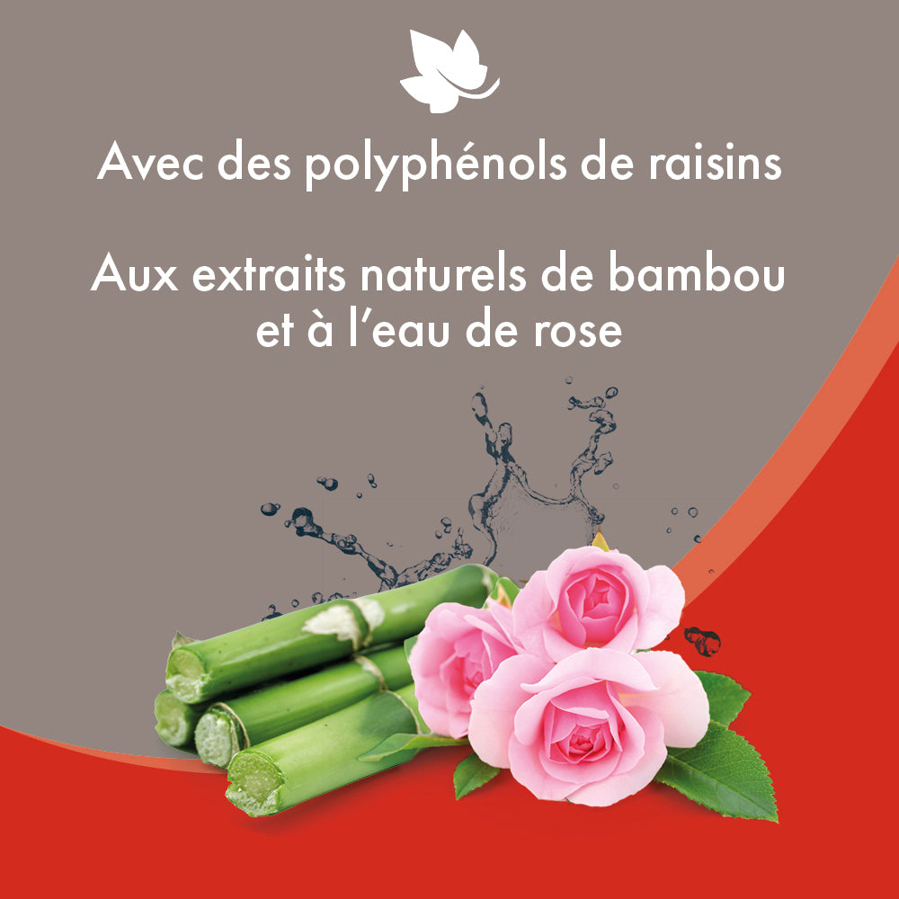 bambou et rose