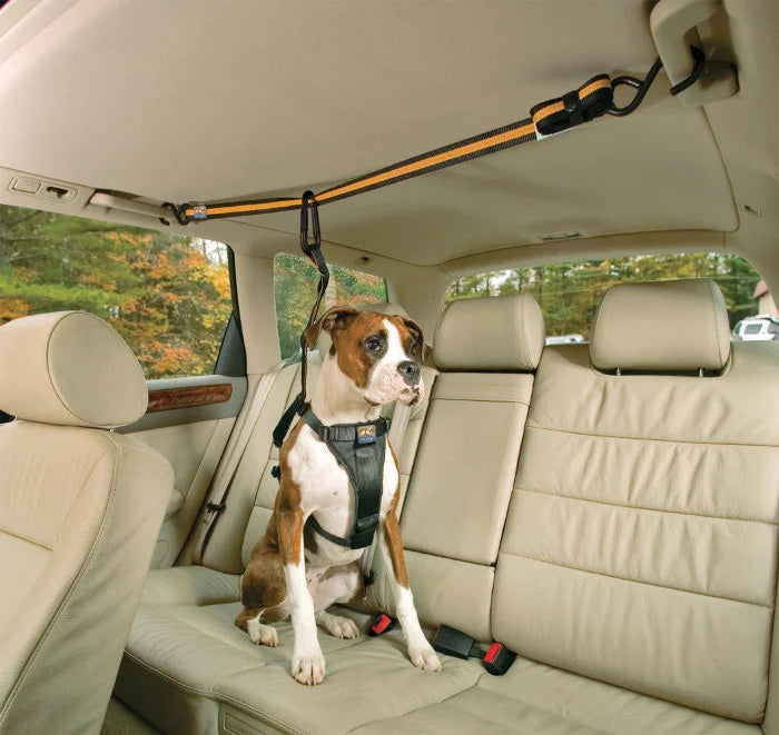 Tyrolienne De Sécurité Zip Line, fixée aux poignées opposées