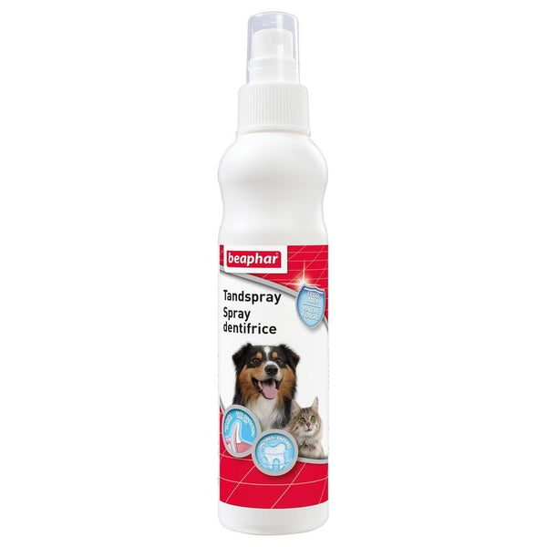 Buccafresh Spray Dentifrice 150ml