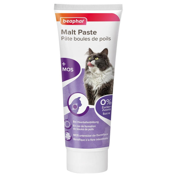 pâte malt chat