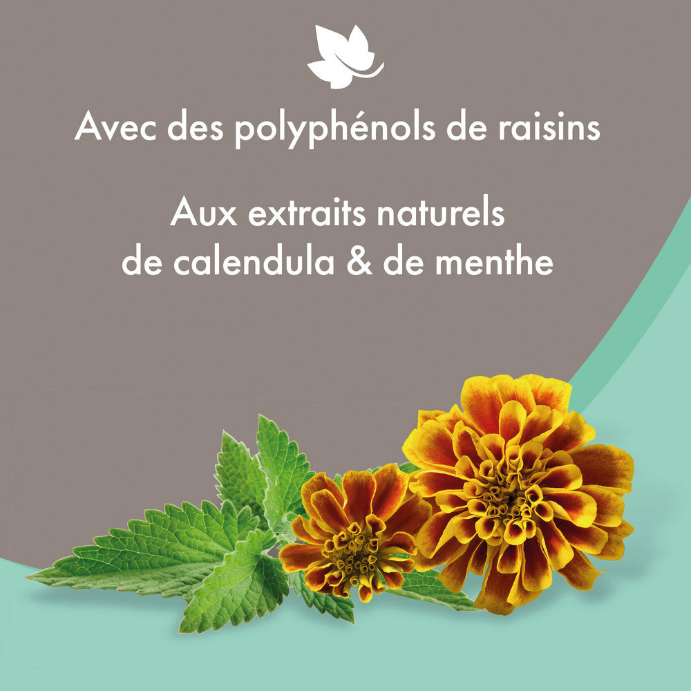 calendula et menthe