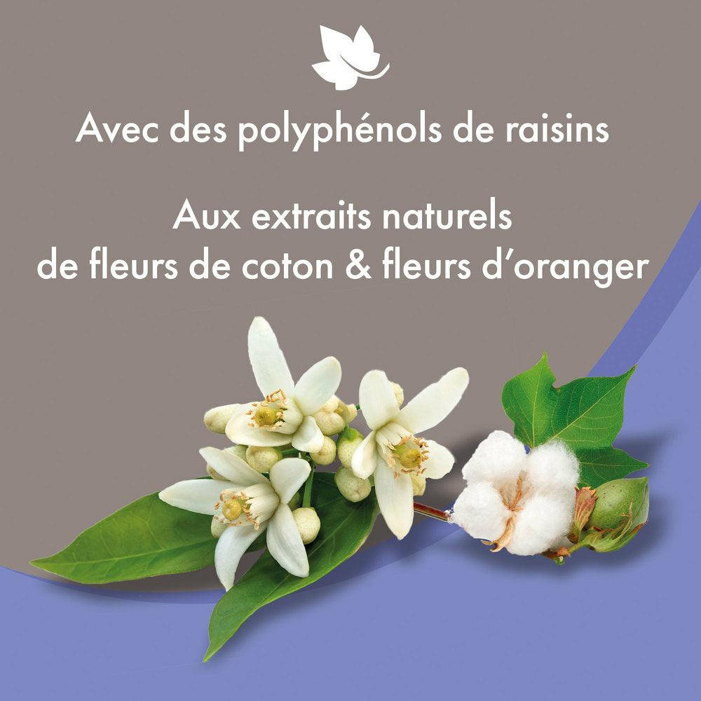 fleurs de coton et d'oranger