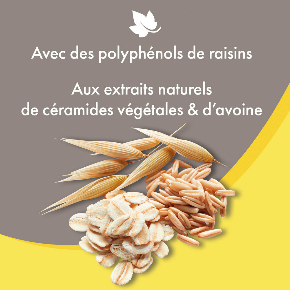 ceramides egetales et avoine