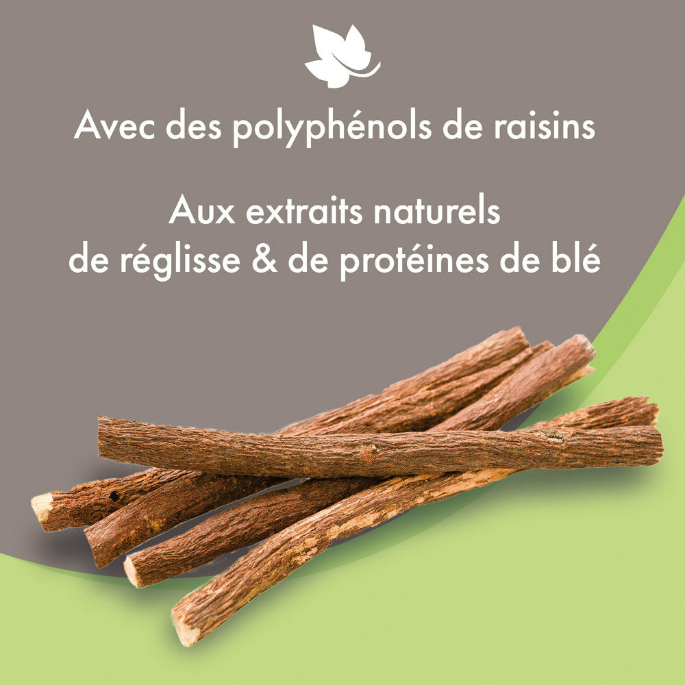 reglisse et proteines de blé