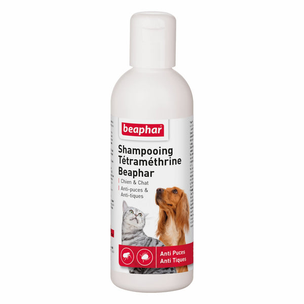 shampoing antiparasitaire tétraméthrine