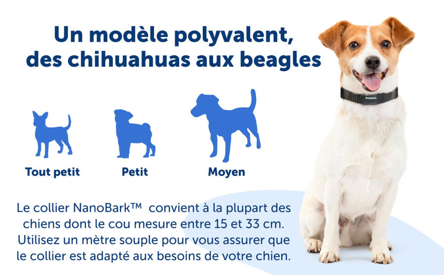 Polyvalence du collier Anti-Aboiement Nano Bark Petsafe