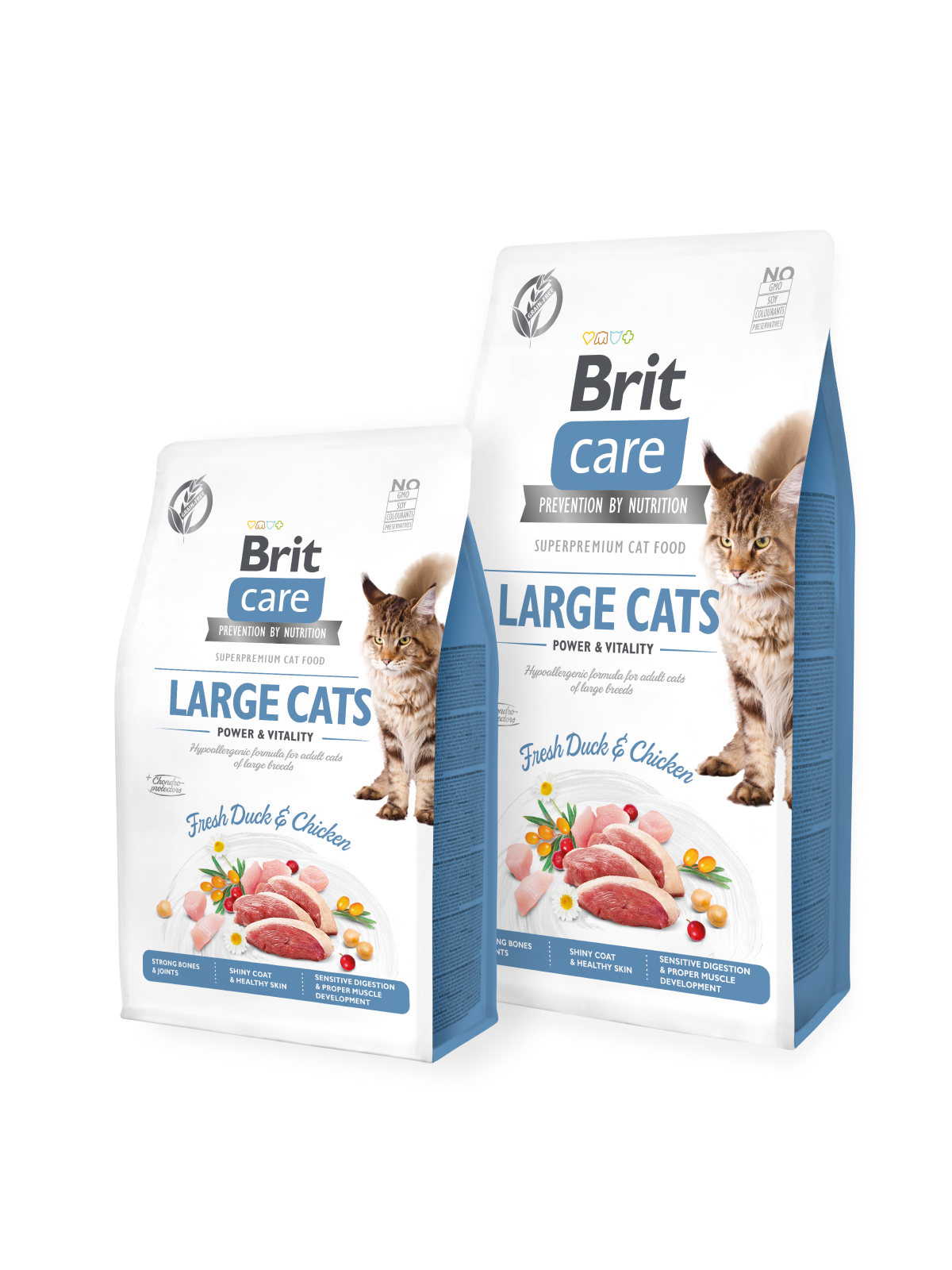 Brit Care Adulte Grandes Races 2Kg