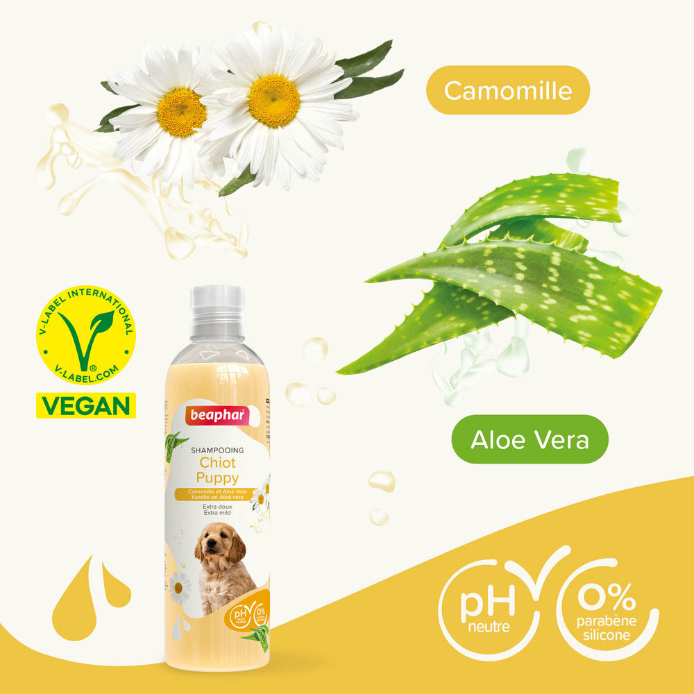 camomille et aloe vera