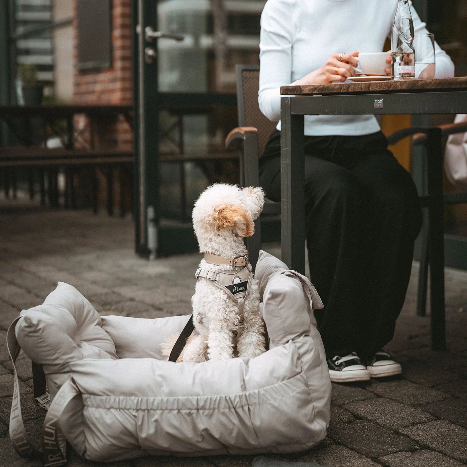 Siège Auto 2 en 1 Seoul Hunter en déplacement