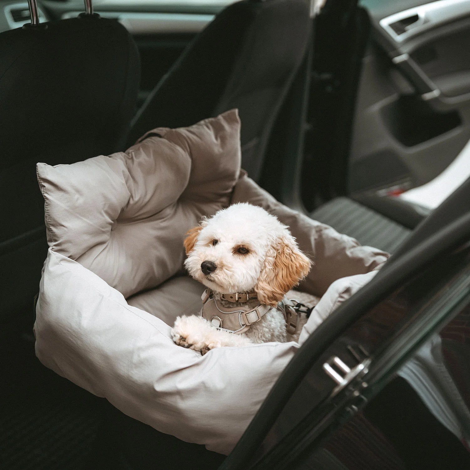 Siège Auto 2 en 1 Seoul Hunter en voiture