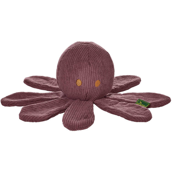 Pieuvre Wales Rose Hunter