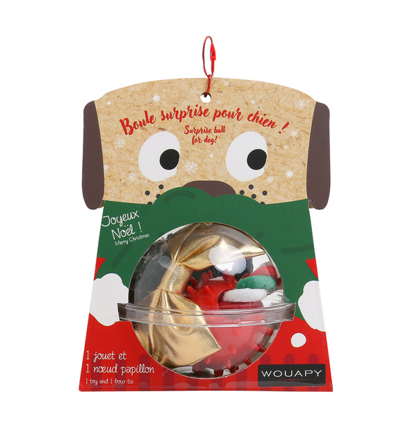 Boule Surprise pour Chien