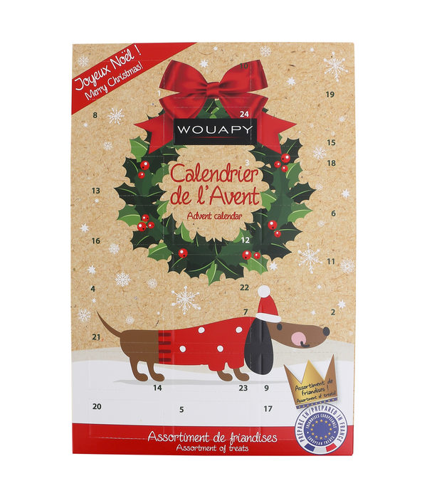 Calendrier de l'Avent pour Chien Wouapy