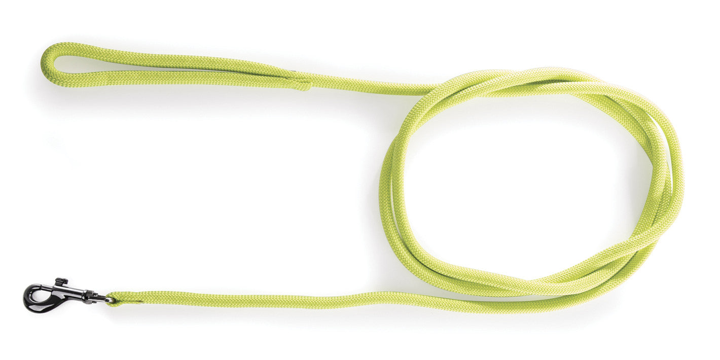 Longe Martin Sellier de 2m vert