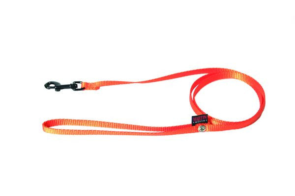 Laisse Nylon Très Fine martin sellier  orange