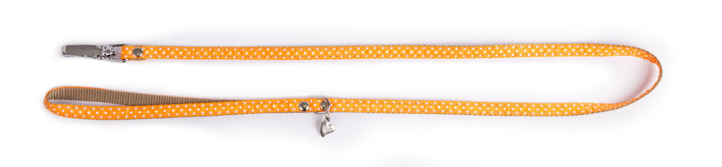 Laisse Pois orange