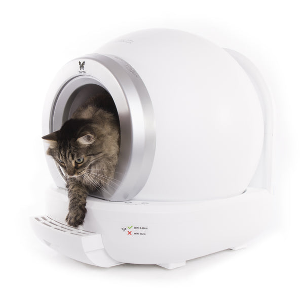 Litière Automatique Connectée