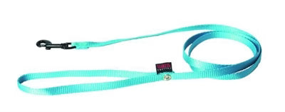 Laisse nylon 10Mmx1.20M turquoise