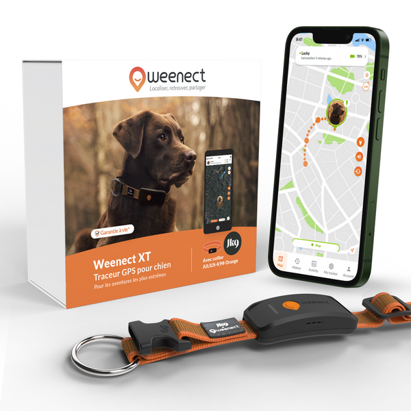 Weenect XT Gps Chien