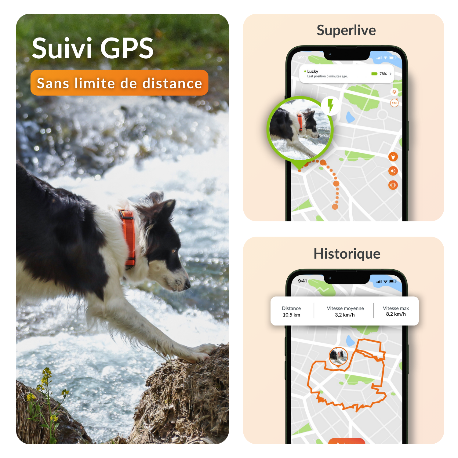 Weenect XT Gps Chien
