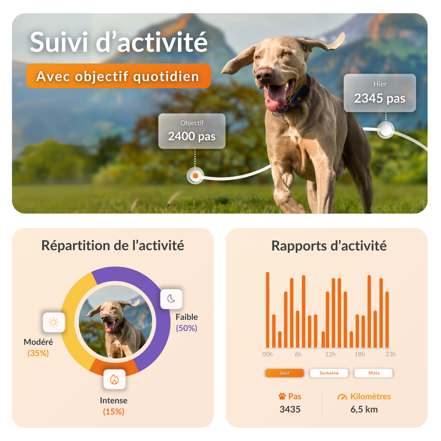 Weenect XT Gps Chien