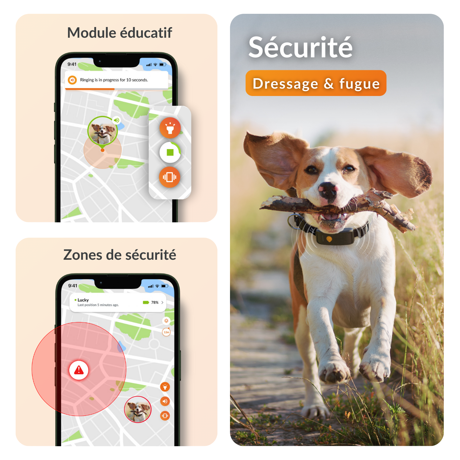 Weenect XT Gps Chien