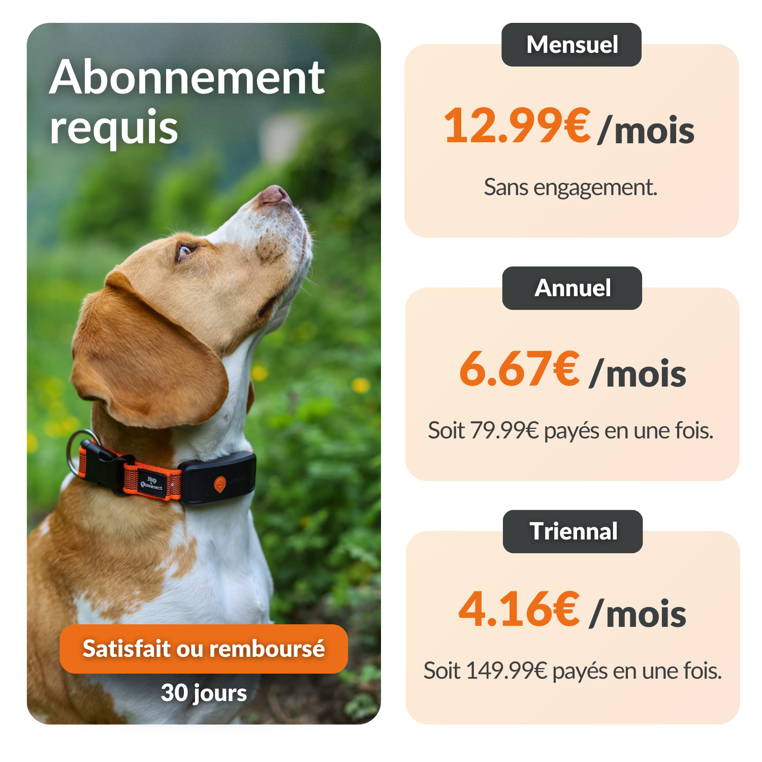 Weenect XT Gps Chien
