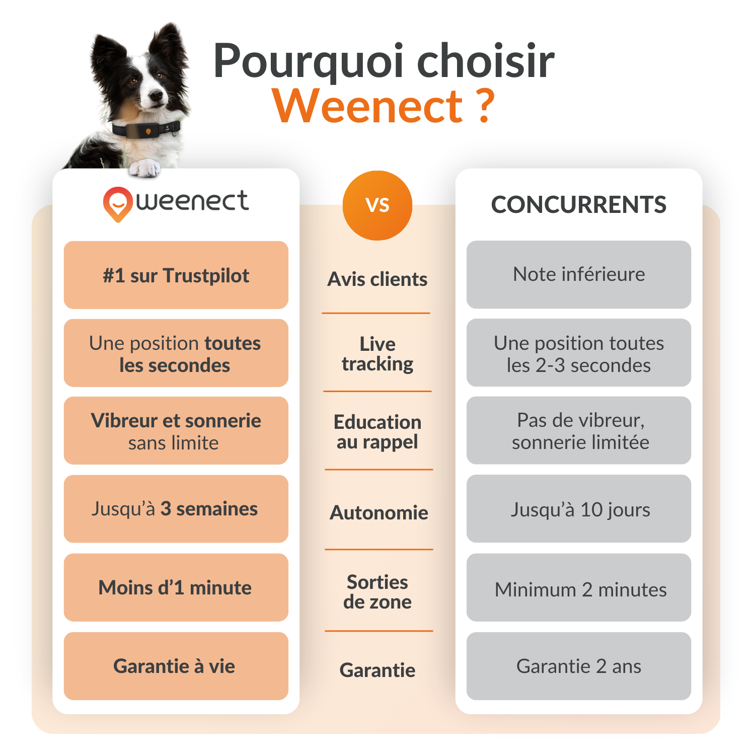 Weenect XT Gps Chien