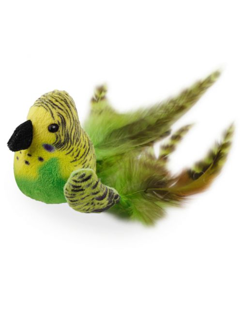 Natural Bouncing birds