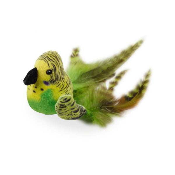 Natural Bouncing birds