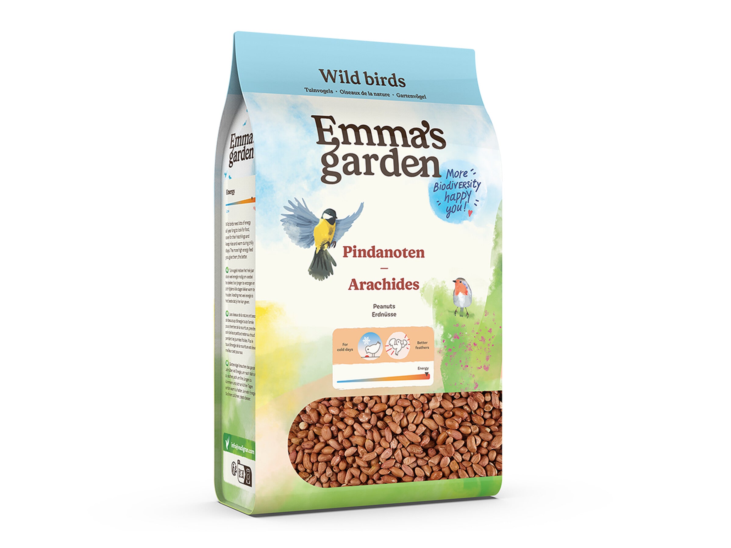 Arachides pour oiseaux du jardin