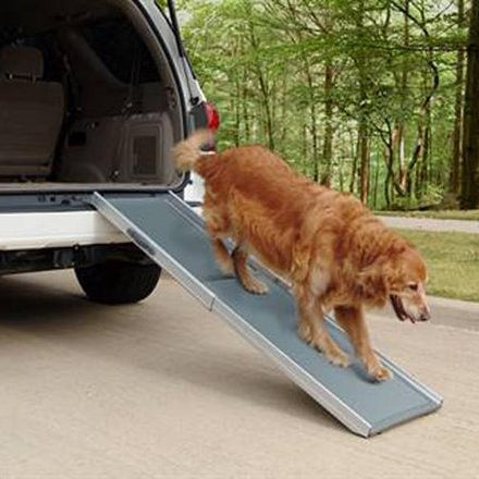 chien utilisant la ramp telescopique happy ride