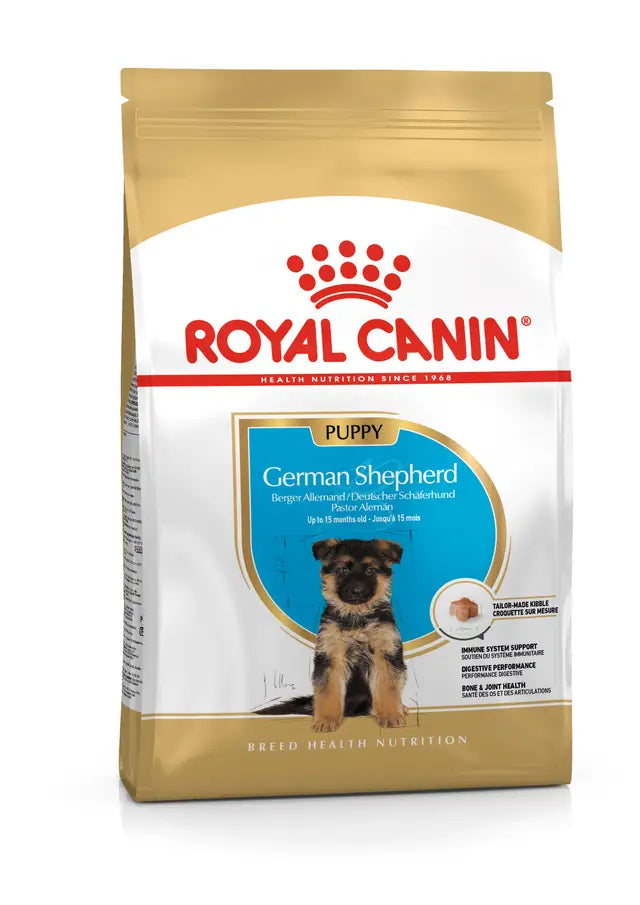 Berger Allemand Puppy 12kg